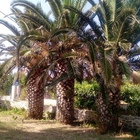 Guesthouse Karidia Σκάλα Ερεσού Εξωτερικό φωτογραφία