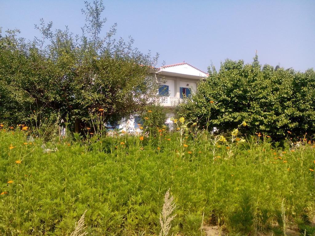 Guesthouse Karidia Σκάλα Ερεσού Εξωτερικό φωτογραφία