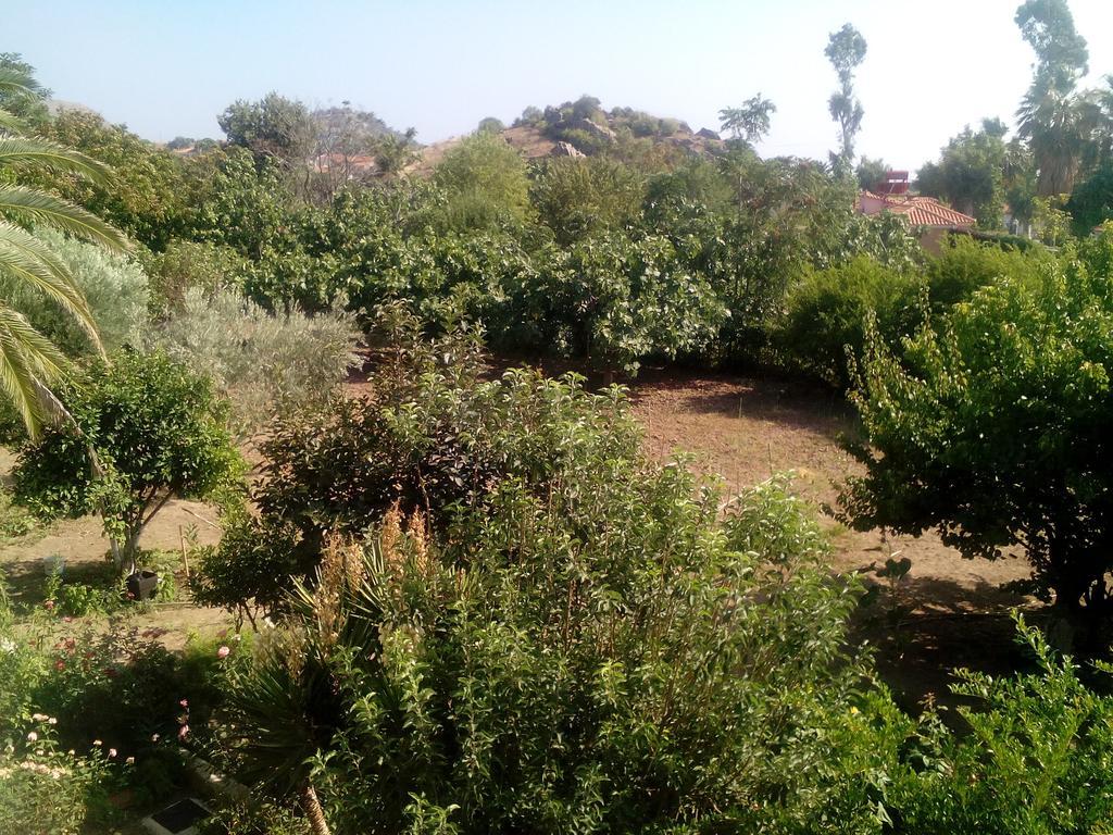 Guesthouse Karidia Σκάλα Ερεσού Εξωτερικό φωτογραφία