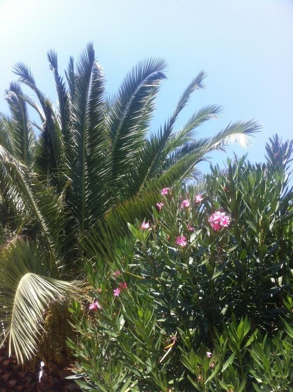 Guesthouse Karidia Σκάλα Ερεσού Εξωτερικό φωτογραφία